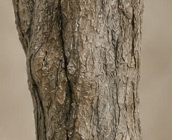 Weathered bark cast from a real olive trunk