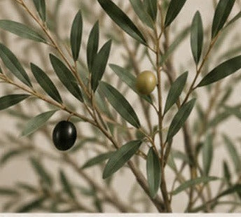 Matte silver-sage olive foliage